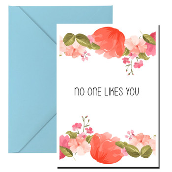 Naughty 219 No One Likes You Birthday Card Naughty 219 No One Likes You Birthday Card