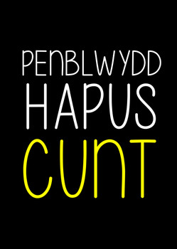Naughty 226a Pen Blwydd Hapus Cunt Birthday Card