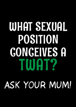 Naughty 310a What Sexual Position Conceives A Twat Ask Your Mum! Birthday Card