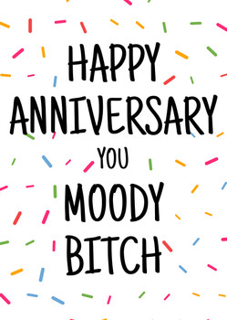 Naughty 448 Happy Anniversary You Moody Bitch Birthday Card Naughty 448 Happy Anniversary You Moody Bitch Birthday Card
