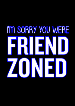 Naughty 193b I'm Sorry You Were Friend Zoned Birthday Card Naughty 193b I'm Sorry You Were Friend Zoned Birthday Card