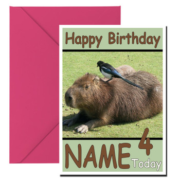 Funny Annoying Bird Birthday Card Funny Annoying Bird Birthday Card