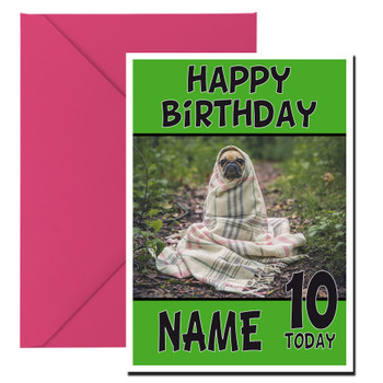 Funny Baby Pug Wrapped Up Birthday Card