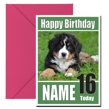 Funny Bernese Mountain Pup Birthday Card