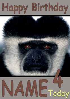 Funny Boob Monkey Birthday Card Funny Boob Monkey Birthday Card