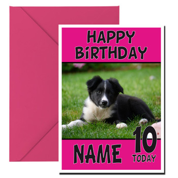 Funny Border Collie Puppy Dog Birthday Card Funny Border Collie Puppy Dog Birthday Card