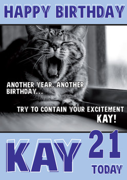 Funny Cat Birthday Card Funny Cat Birthday Card