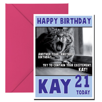 Funny Cat Birthday Card Funny Cat Birthday Card