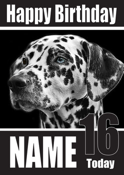 Funny Dalmation Card Birthday Card Funny Dalmation Card Birthday Card