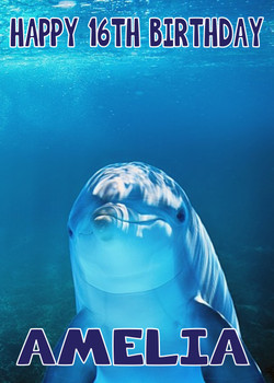 Funny Dolphin 1 Birthday Card Funny Dolphin 1 Birthday Card