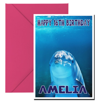 Funny Dolphin 1 Birthday Card Funny Dolphin 1 Birthday Card