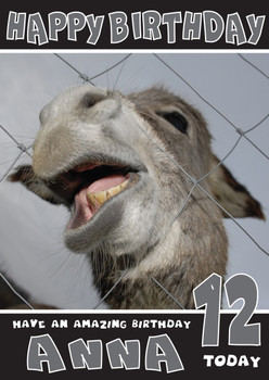 Funny Donkey 2 Birthday Card Funny Donkey 2 Birthday Card