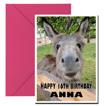 Funny Donkey 3 Birthday Card Funny Donkey 3 Birthday Card