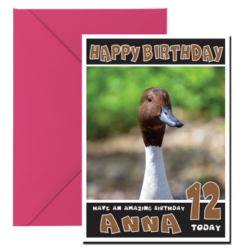 Funny Duck 2 Birthday Card Funny Duck 2 Birthday Card
