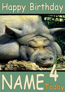 Funny Fat Pig Birthday Card Funny Fat Pig Birthday Card