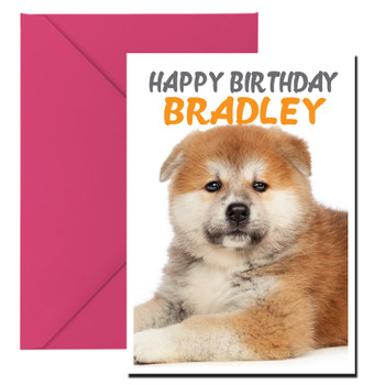 Funny Akita Uni 1 Birthday Card