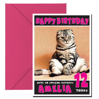 Funny Cat 2 Birthday Card Funny Cat 2 Birthday Card