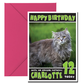 Funny Cat 8 Birthday Card Funny Cat 8 Birthday Card
