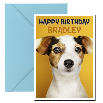 Funny Jack Russel 1 Birthday Card Funny Jack Russel 1 Birthday Card