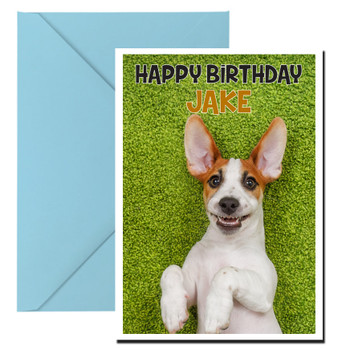 Funny Jack Russel 2 Birthday Card Funny Jack Russel 2 Birthday Card