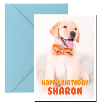 Funny Labrador 11 Birthday Card