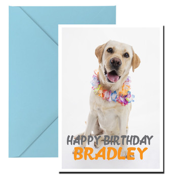 Funny Labrador 9 Birthday Card