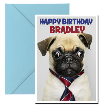 Funny Pug 16 Birthday Card Funny Pug 16 Birthday Card