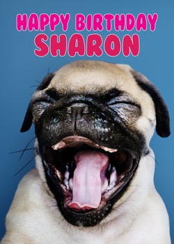 Funny Pug 18 Birthday Card