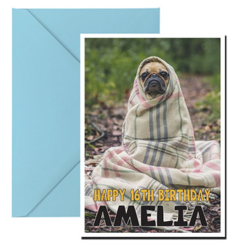 Funny Pug 21 Birthday Card Funny Pug 21 Birthday Card