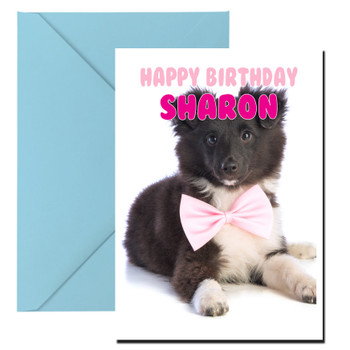 Funny Shetland Sheepdog 1 Birthday Card