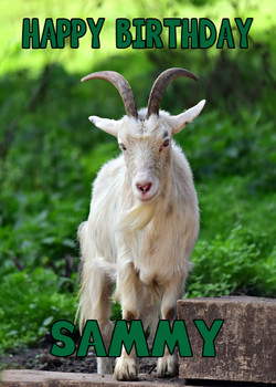 Funny Goat 3 Birthday Card