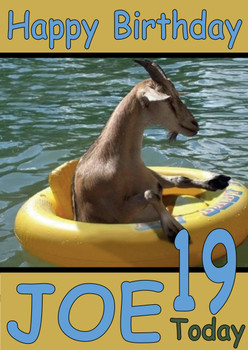 Funny Goat In Float Ring Birthday Card