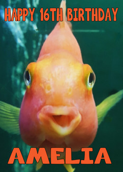 Funny Goldfish 2 Birthday Card