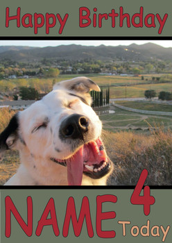 Funny Happy Dog Selfie Birthday Card Funny Happy Dog Selfie Birthday Card