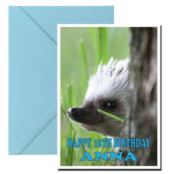 Funny Hedgehog 2 Birthday Card Funny Hedgehog 2 Birthday Card