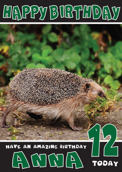 Funny Hedgehog 3 Birthday Card Funny Hedgehog 3 Birthday Card