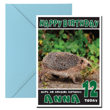 Funny Hedgehog 3 Birthday Card Funny Hedgehog 3 Birthday Card