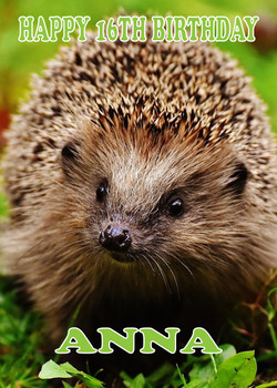 Funny Hedgehog 4 Birthday Card Funny Hedgehog 4 Birthday Card