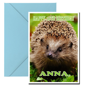 Funny Hedgehog 4 Birthday Card Funny Hedgehog 4 Birthday Card