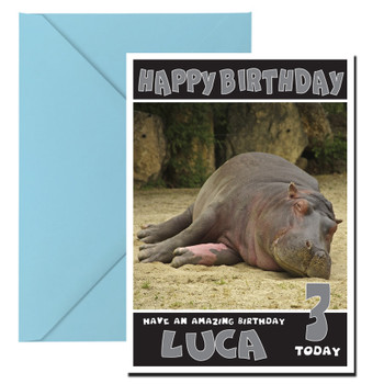 Funny Hippo 2 Birthday Card