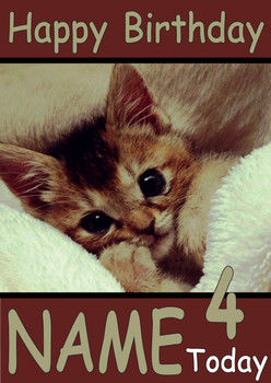 Funny Kitten Tucked In Bed Birthday Card