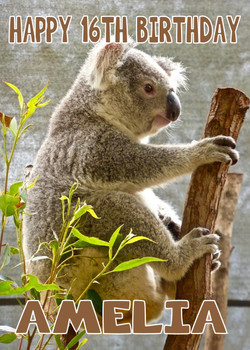 Funny Koala 2 Birthday Card Funny Koala 2 Birthday Card