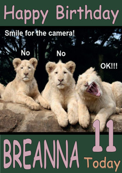 Funny Lion Smile For The Camera Birthday Card