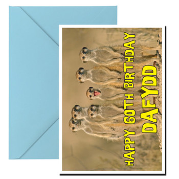 Funny Meekats Shock Birthday Card Funny Meekats Shock Birthday Card
