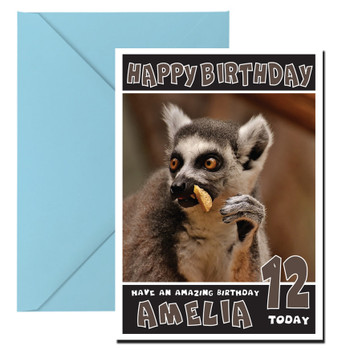 Funny Monkey 4 Birthday Card Funny Monkey 4 Birthday Card