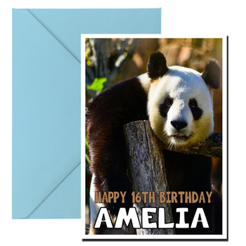 Funny Panda 2 Birthday Card Funny Panda 2 Birthday Card