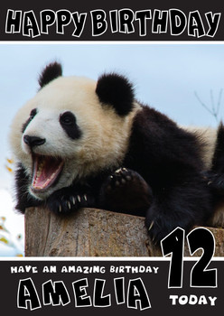 Funny Panda 3 Birthday Card Funny Panda 3 Birthday Card