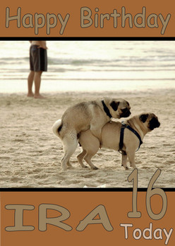 Funny Pug Fun Birthday Card