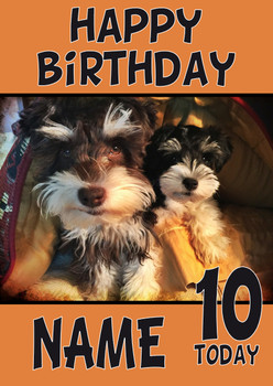 Funny Puppy 1 Birthday Card Funny Puppy 1 Birthday Card