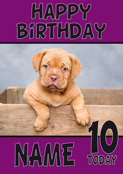 Funny Puppy 4 Birthday Card